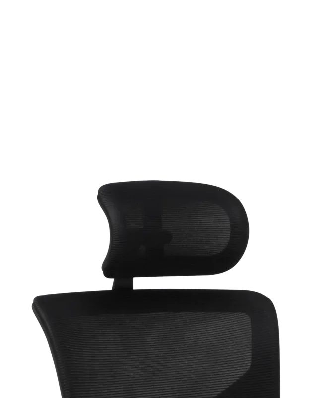 X3 Headrest