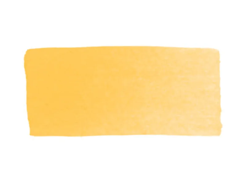 Egg Yolk Yellow