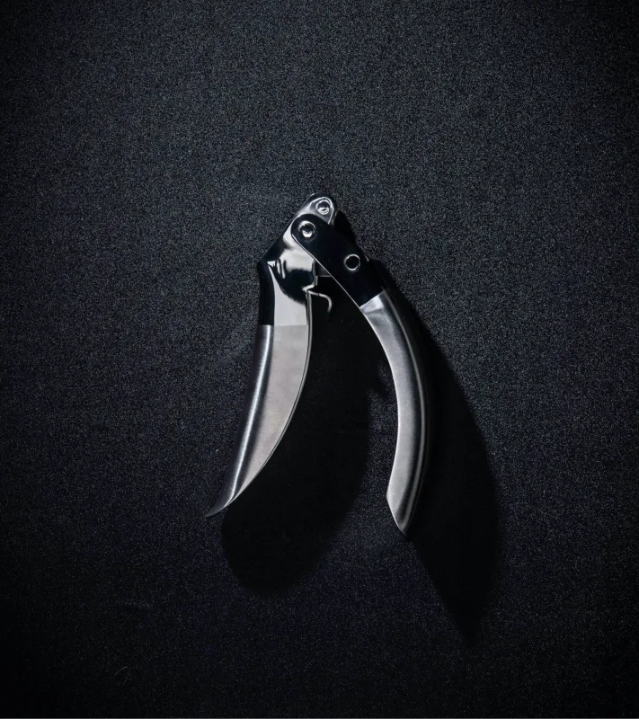Stainless Steel Garlic Press