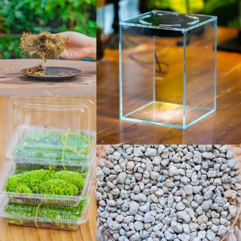 Glass Tank with lid Grow Light DIY set for Moss and Flytrap, Sundew