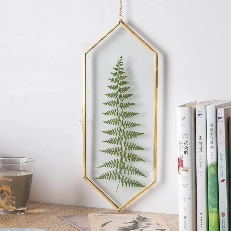 NCYP Vintage Gold Brass Floating Hanging Glass Long Hexagon Photo Frame for Fern, Pressed Flower