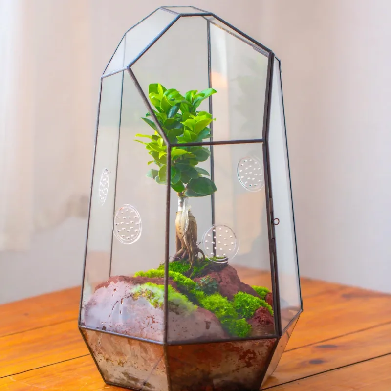 Handmade 41cm / 16" Tall IrregularGlass Geometric Terrarium Box with Vent PG01D4