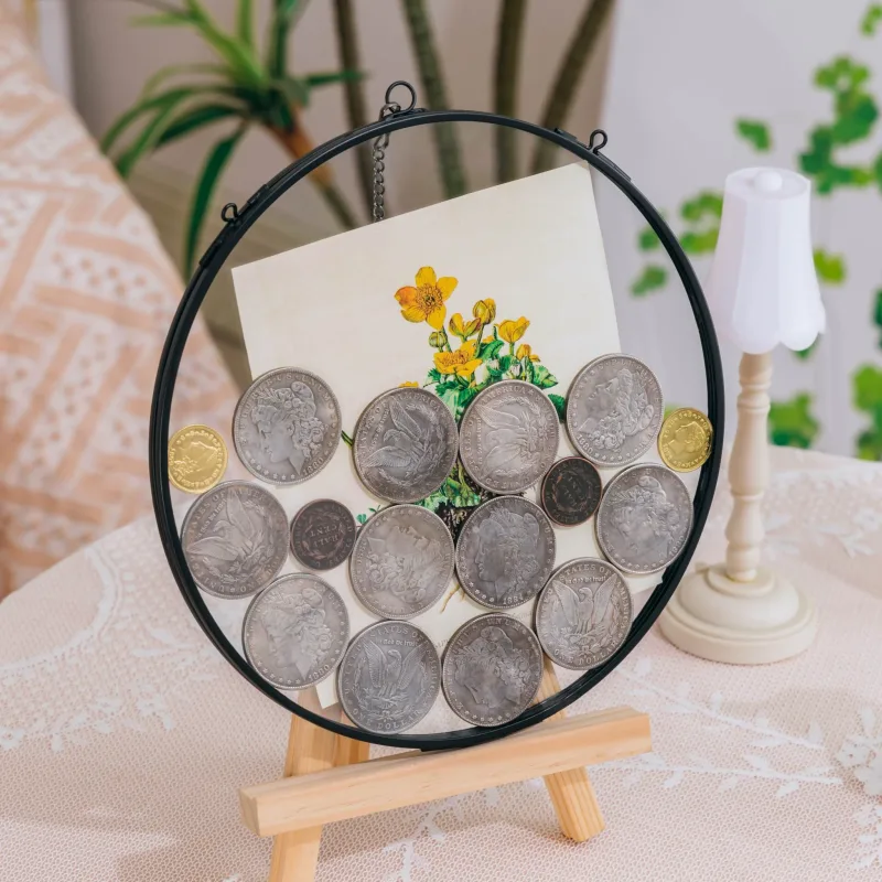 NCYP Glass Coin Organizer Holder for Morgan Silver Dollar Coin - Wall Hanging Display Frame - Round 8" Glass Floating Herbarium for Dried Flowers - Home Decor, Black FN07T2