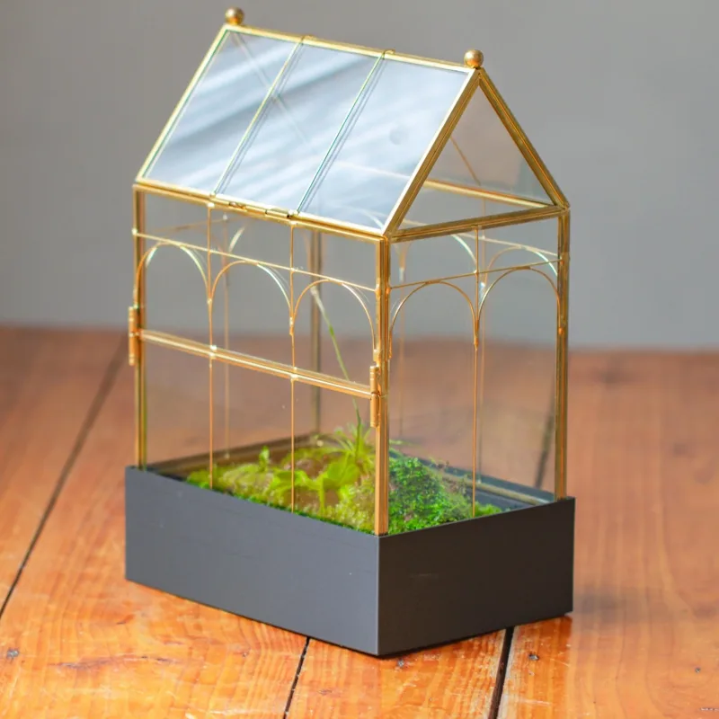 11 Gold Victorian Greenhouse Glass Terrarium with Water-Holding Base and Side Door