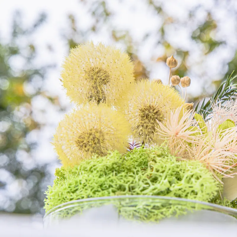 Yellow Presered Dandelion Set 3 pcs Dried Flowers, DIY Material for Bouquet