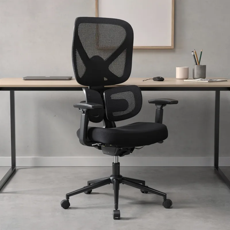 NOUHAUS Ergo Morph Home Office Ergonomic Chair